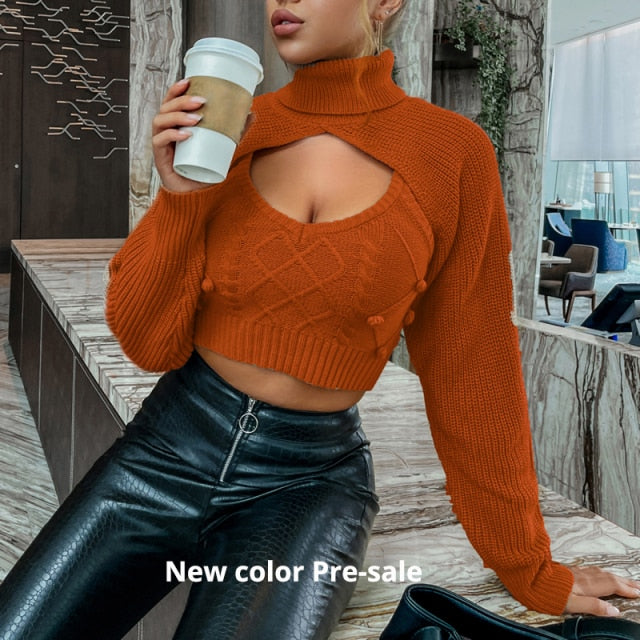 Turtleneck crop sweater